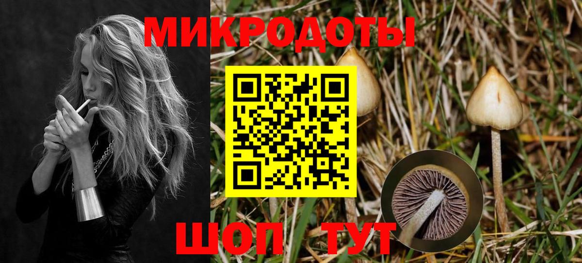 Галлюциногенные грибы Magic Shrooms Ногинск